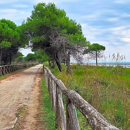 Apartment Lovely Just 500mt From The Sea *