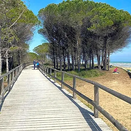 Apartment Lovely Just 500mt From The Sea